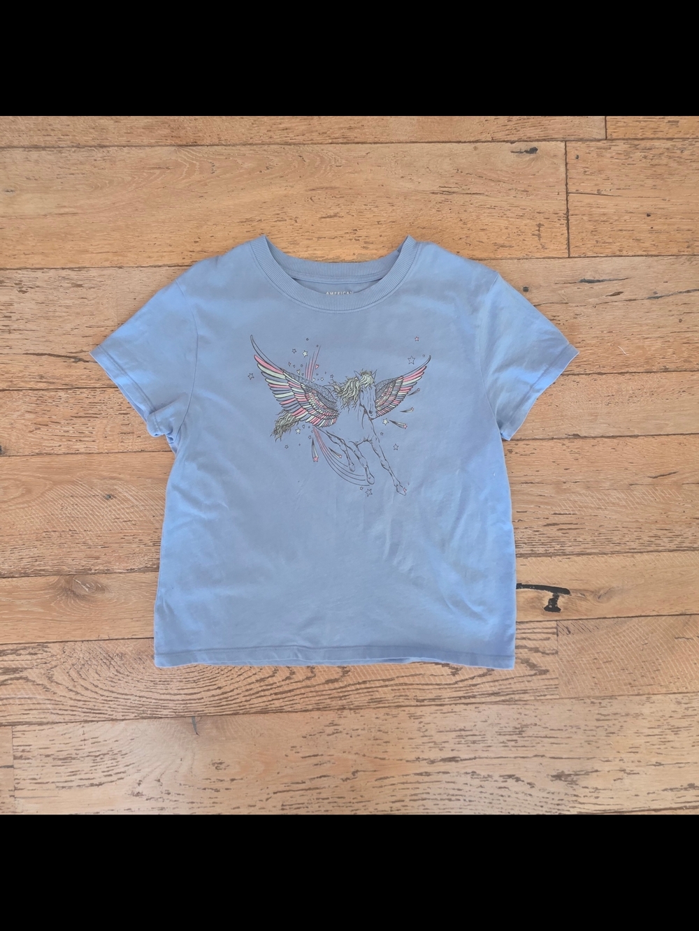 American Eagle Outfitters Cotton Baby Blue Pegasus Wing Graphic Tee fairycore